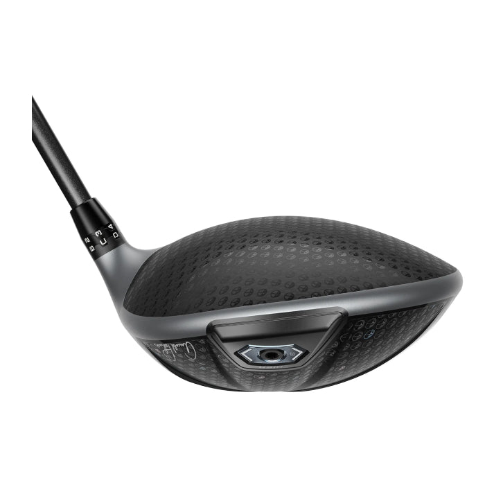 DS-ADAPT LS Arnold Palmer ドライバー – 海外カスタムクラブ専門店