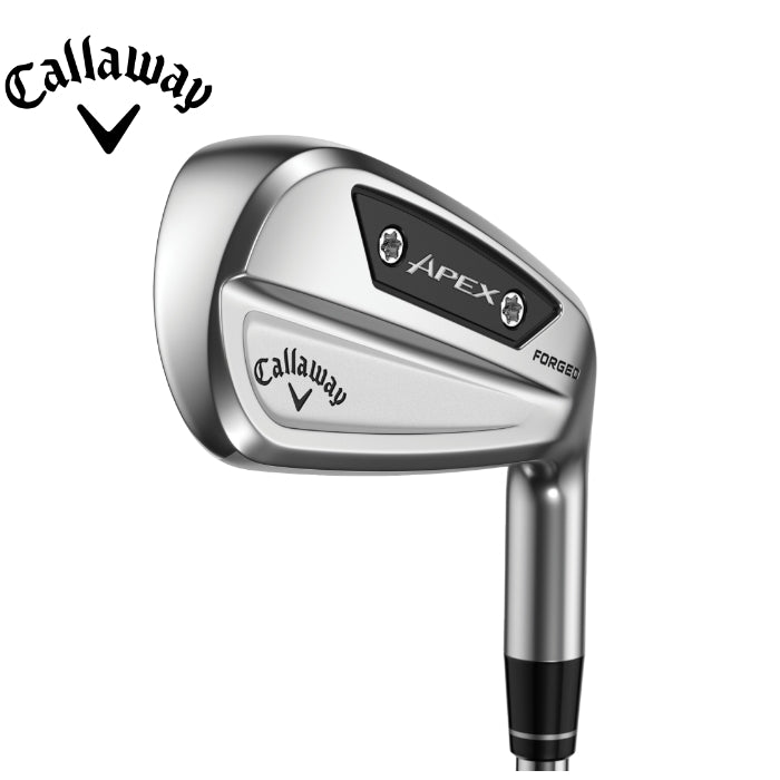 Apex Ai300 アイアン 単品 (2024) – 海外カスタムクラブ専門店PEAKGOLF