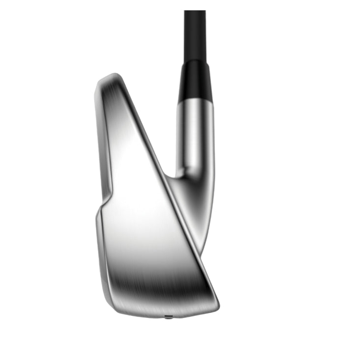 Quantum Max Fast アイアン 6本セット – 海外カスタムクラブ専門店PEAKGOLF