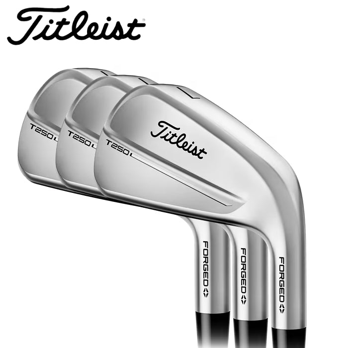 Titleist アイアンセット 6本 メンズゴルフクラブ 楽天市場】タイトリスト Titleist ゴルフクラブ アイアンセット