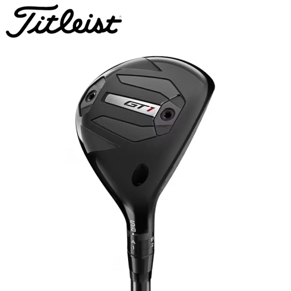 GT1 ハイブリッド